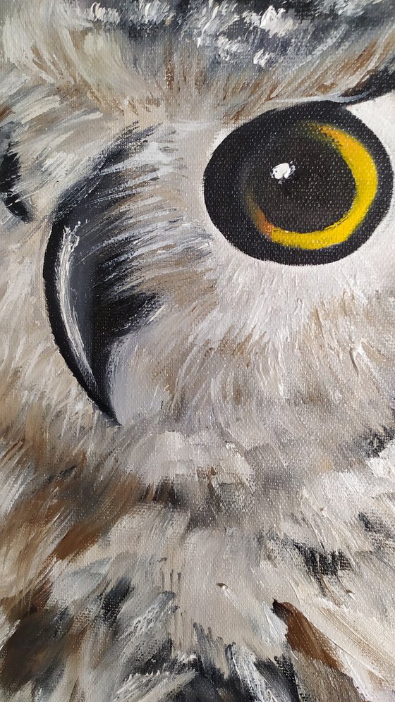 Owl, original bird oil painting, small gift idea, art for home