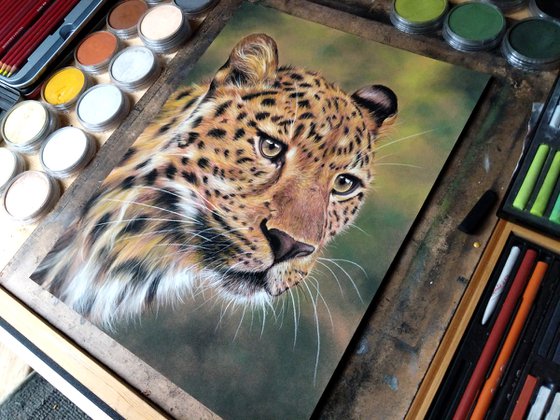 Leopards Gaze V (Original Painting)