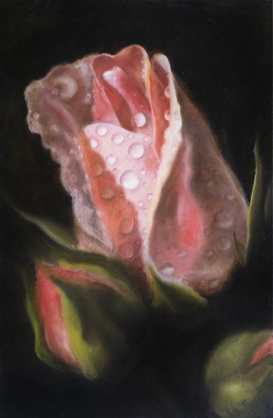 Oil original painting on canvas "Pink rose". Hyperrealism, of dew on the petals of a pink rose