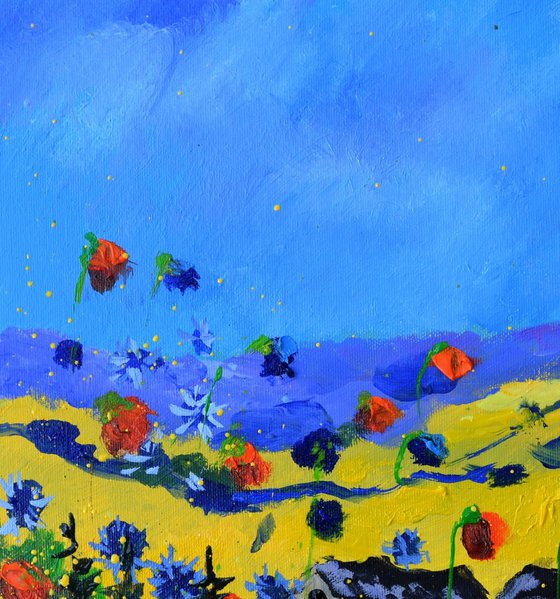 Poppies and blue cornflowers in my countryside