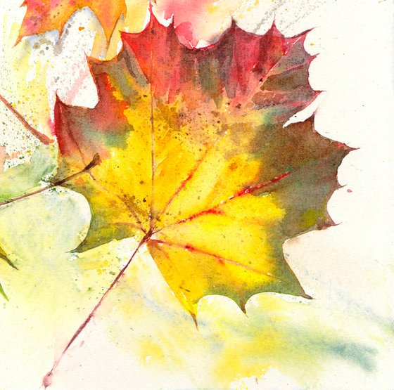 Autumn Leaves, Maple leaves, Watercolour, Watercolor, Original Art, vibrant Foliage painting, contemporary art