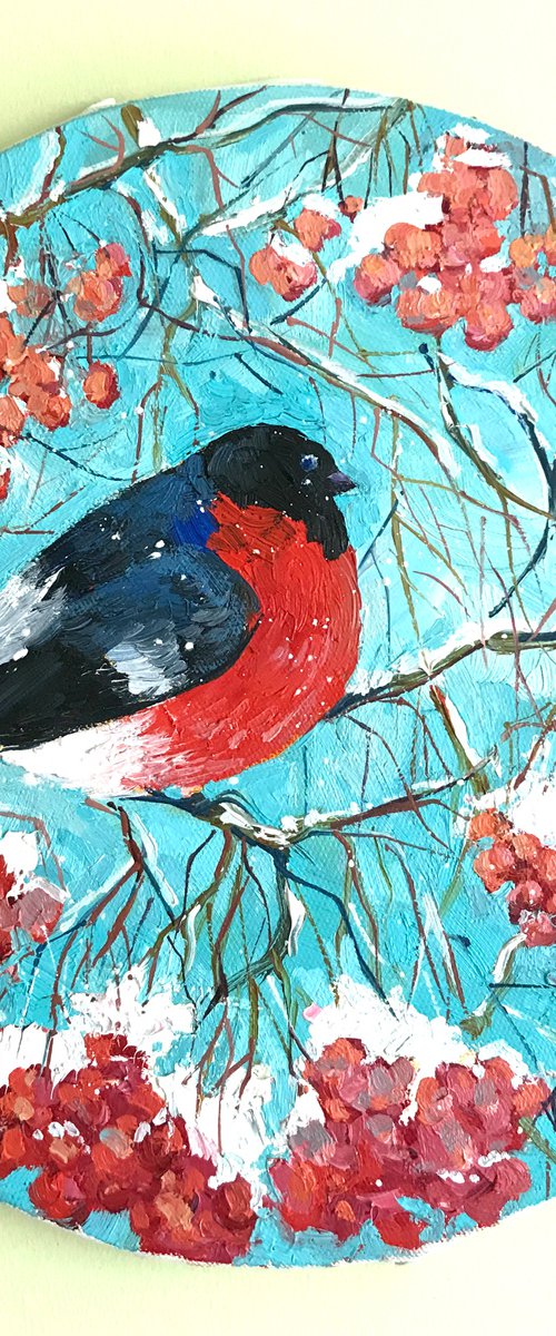 Bullfinch by Yuliia Pastukhova