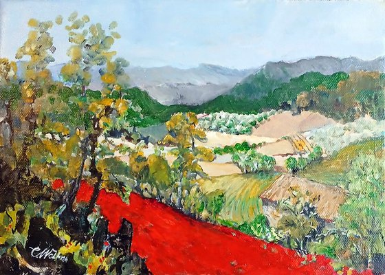 Poppy Field
