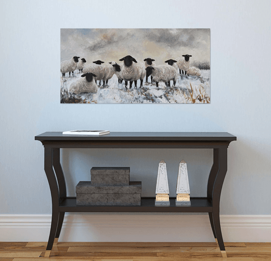 Black Face Sheep Winter