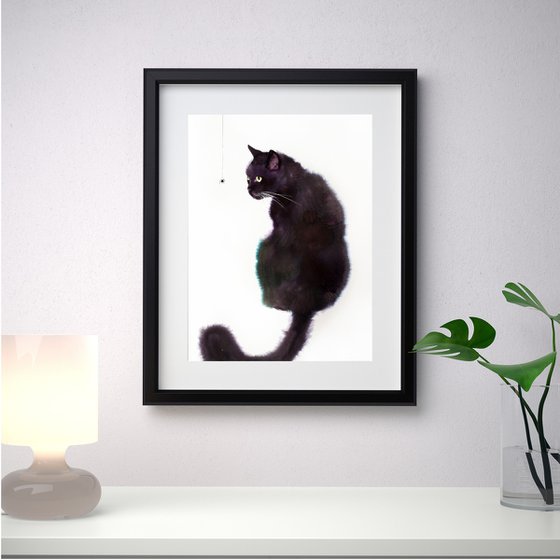 Black Cat and Spider