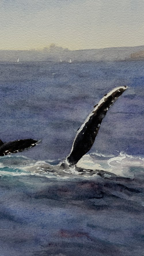 Hello whale by Shelly Du