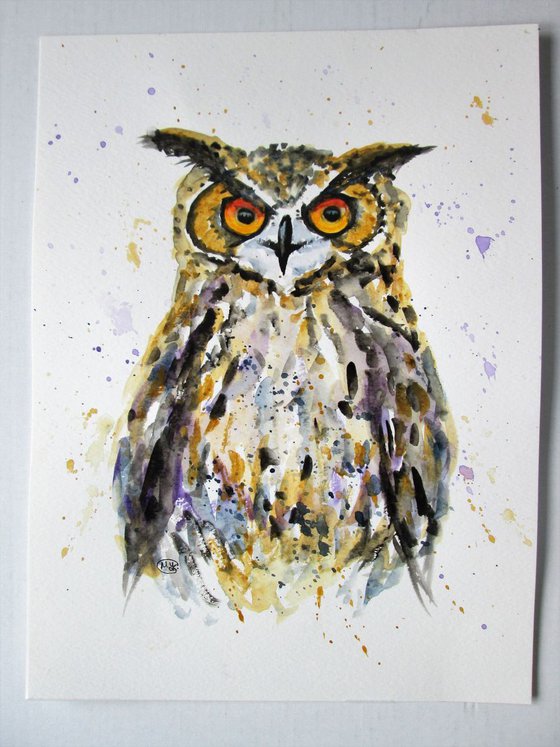 Owl portait