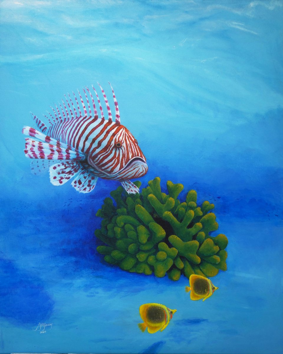 Lionfish by John N Mason