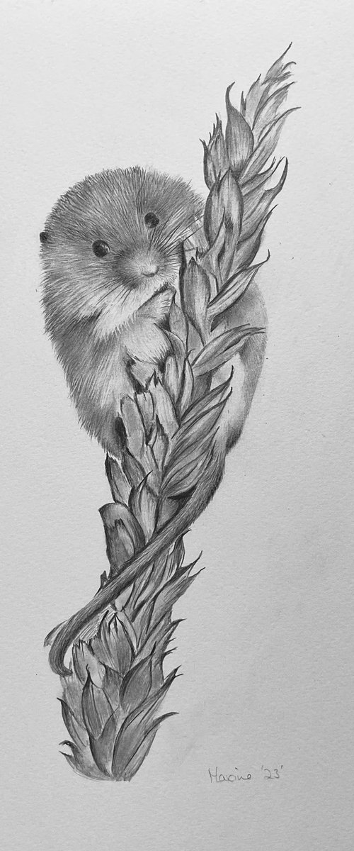 Harvest mouse by Maxine Taylor