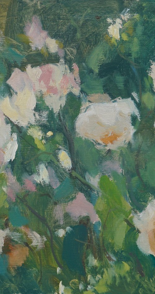 Roses in Early Morning Light by Alex James Long