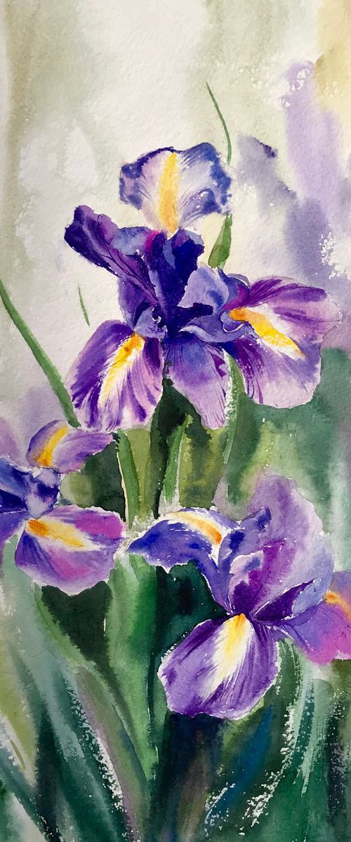 Irises by Eugenia Gorbacheva