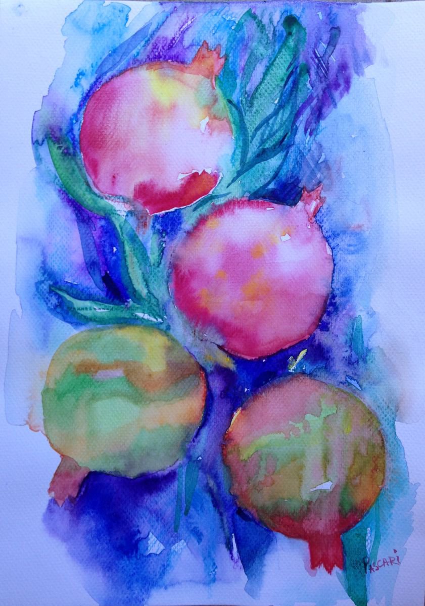 Branch of pomegranate by Olga Pascari