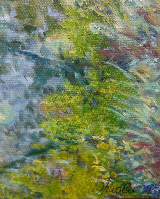 Where the Light settles