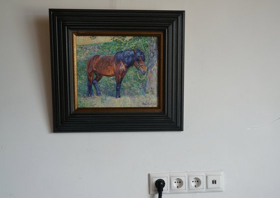 Horse in the shade of trees