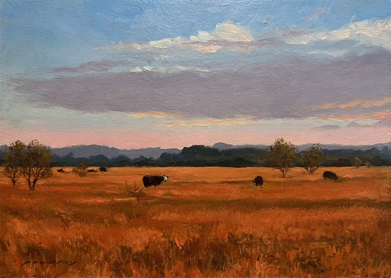 Golden Fields