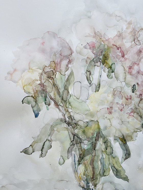 Peonies 50x65 cm 2025