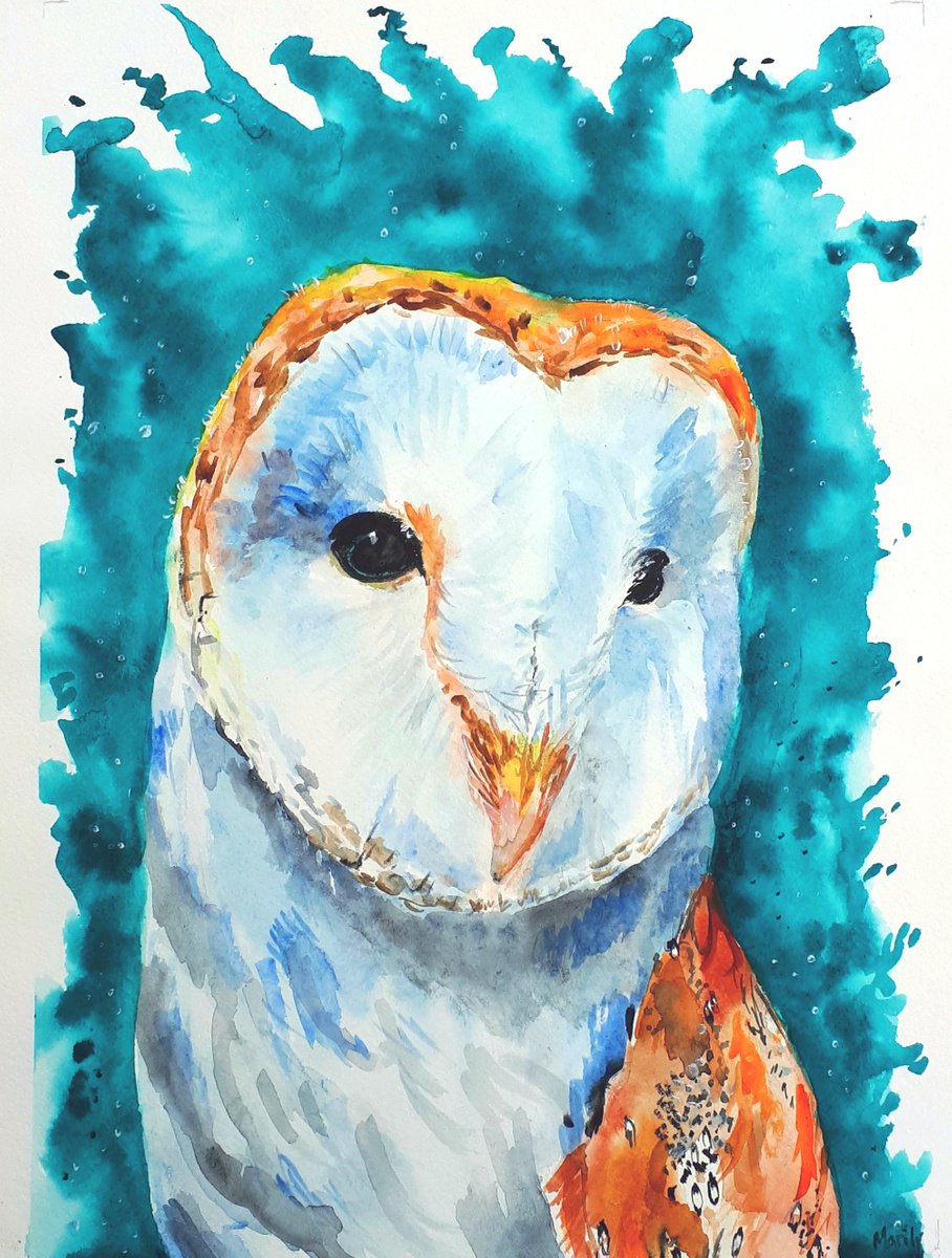 Barn owl by Marily Valkijainen