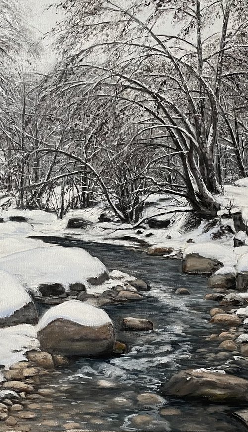 Winter Stillness in Motion by Aflatun Israilov