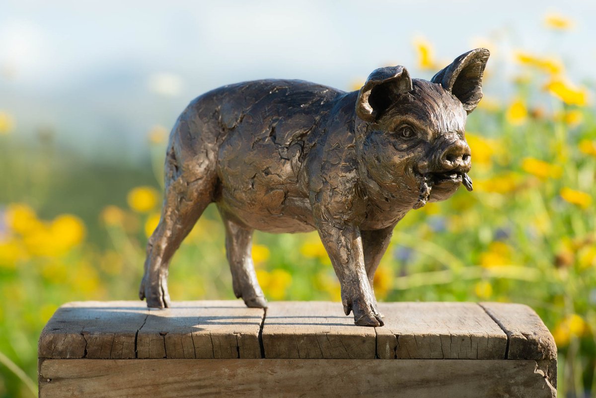 Animal Bronze Sculpture By Tanya Russell, 12 X 12", Standing Piglet Br, Original Artwork