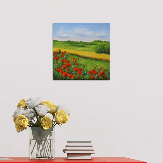Red poppies field