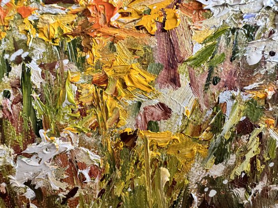 Blooming Meadows