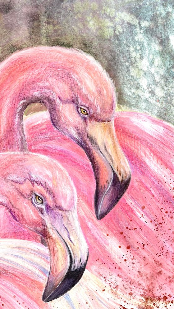 Flamingo couple