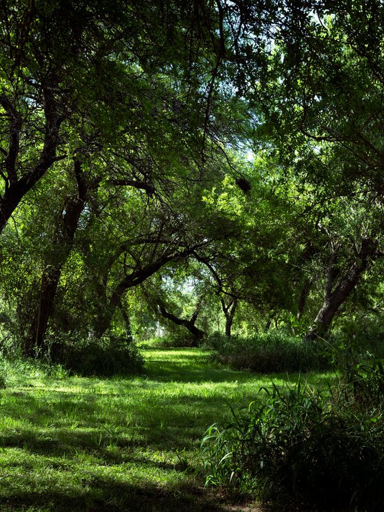 Green path