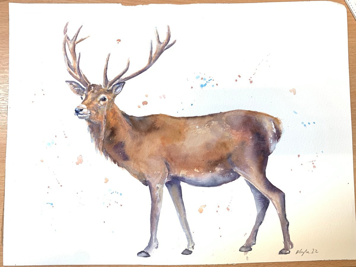 Watercolour Stag by Kathryn Coyle