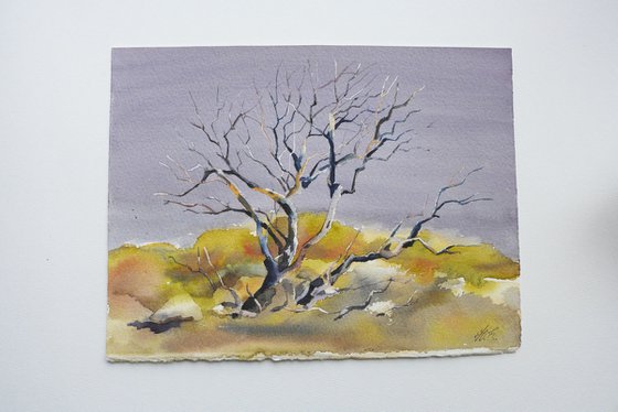 Desert tree in watercolor Arizona nature