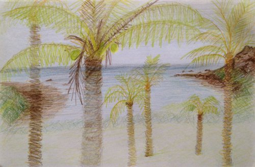 Through the Palms by David Lloyd
