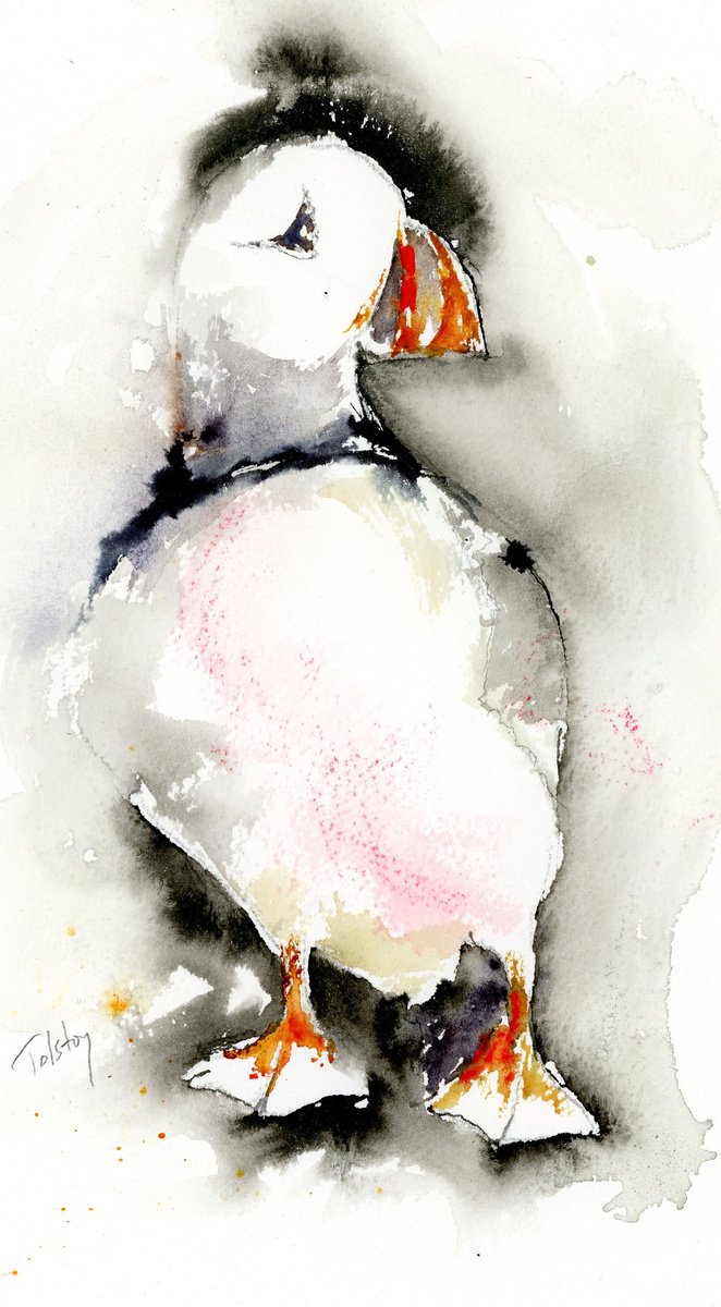 Impressionistic Animal Watercolour By Alex Tolstoy, 7 X 12, Puffin, Original Artwork