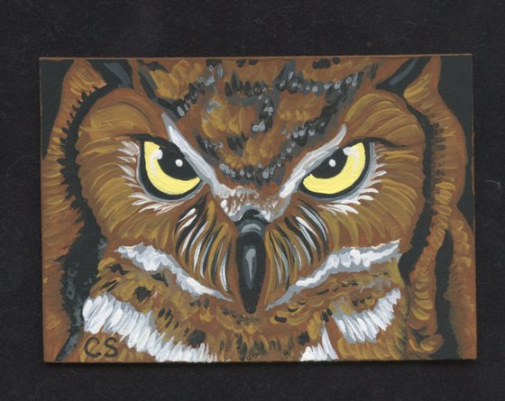 ACEO ATC Original Miniature Painting Tiger Owl Bird Wildlife Art-Carla Smale