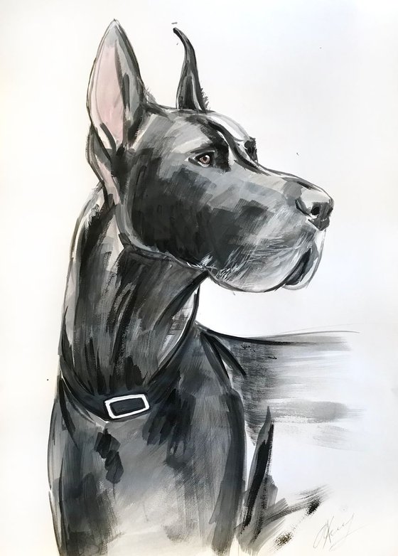 Great Dane, acrylic painting on paper
