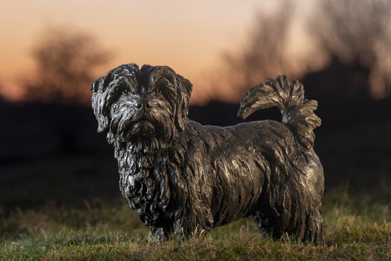 Norfolk Terrier Bronze Resin