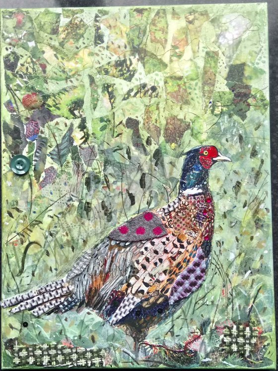 Pheasant in the woods