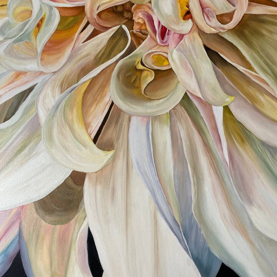 Magic Dahlia Petals