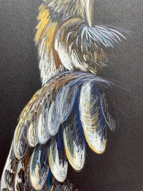 Owl Original Pencil Painting, Mixed Media Artwork, Animal Wall Art, Bird Lover Gift