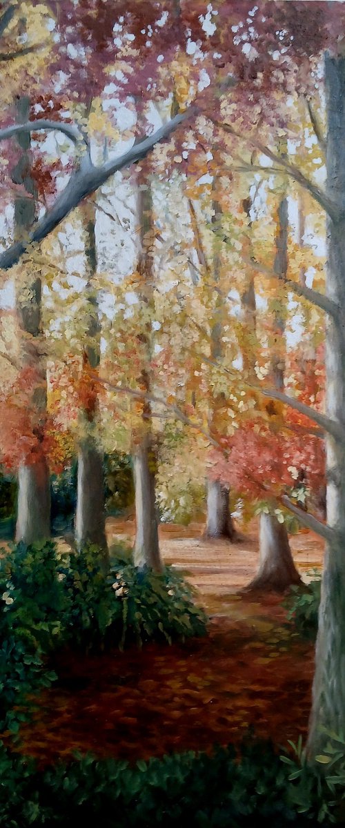 French woodland in Autumn by Sophie Colmer-Stocker