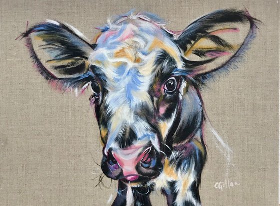 Princess - Black & White Calf Cow original oil painting on linen on board