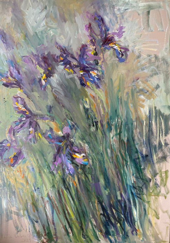 Wild irises.