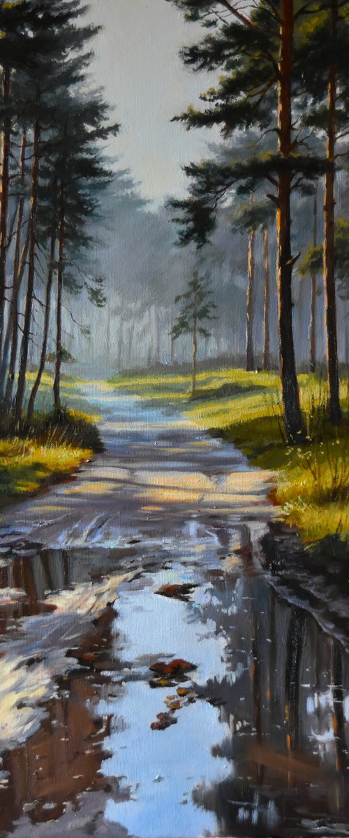 The forest road by Serghei Ghetiu