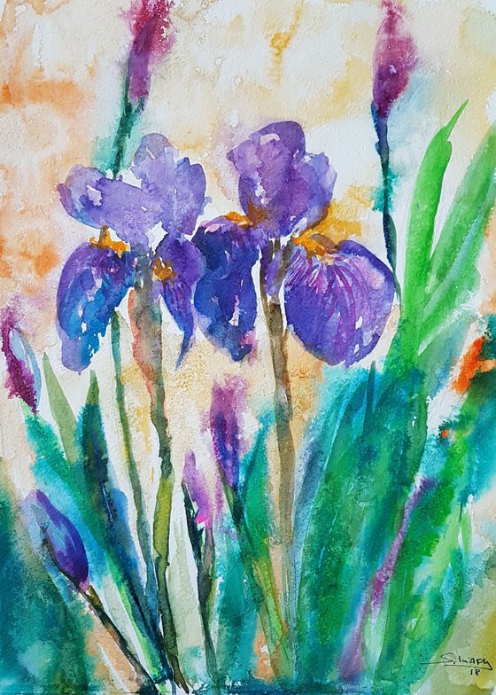 IRISES