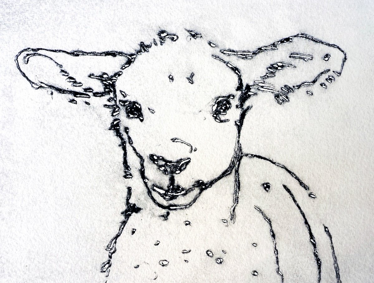 Animal Etchings & Engravings By Randi Antonsen, 14 X 9", Lamb, Original Artwork