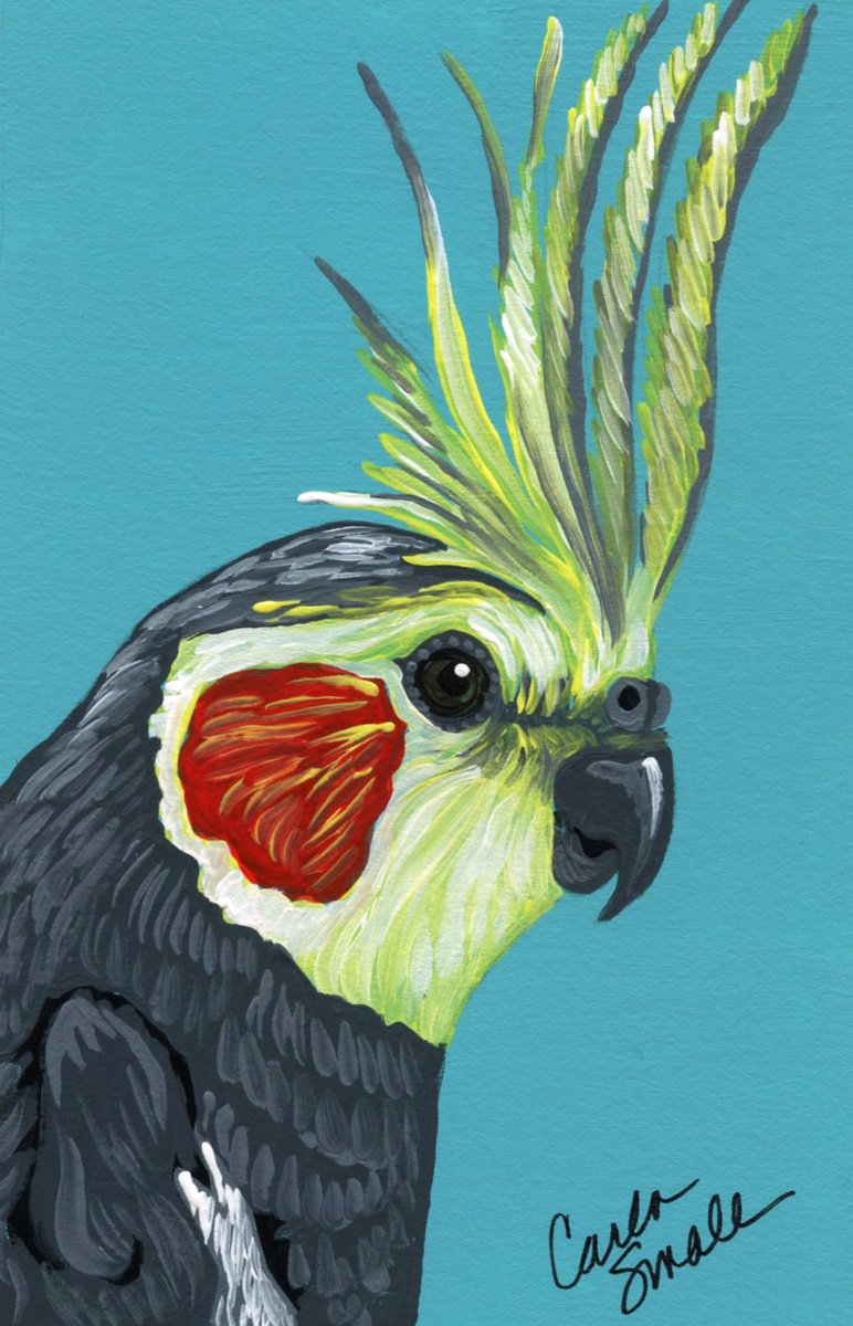 Cockatiel Bird Gouache painting by Carla Smale | Artfinder