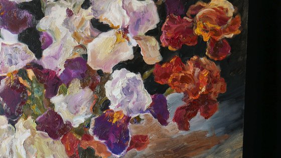 Velvet Iris Symphony