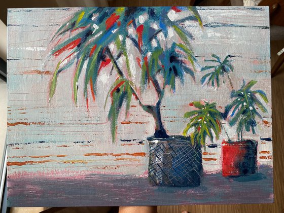 Palmtree on the windowsill - gouache painting