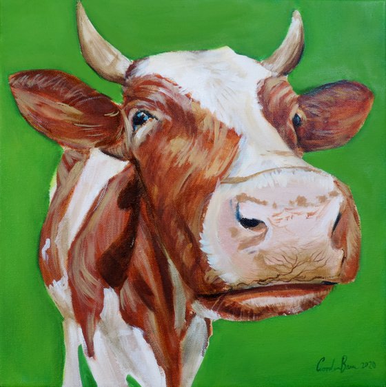 Cow portrait close up painting green background