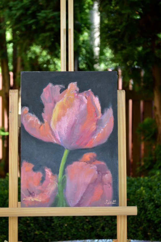 Coral tulips 1