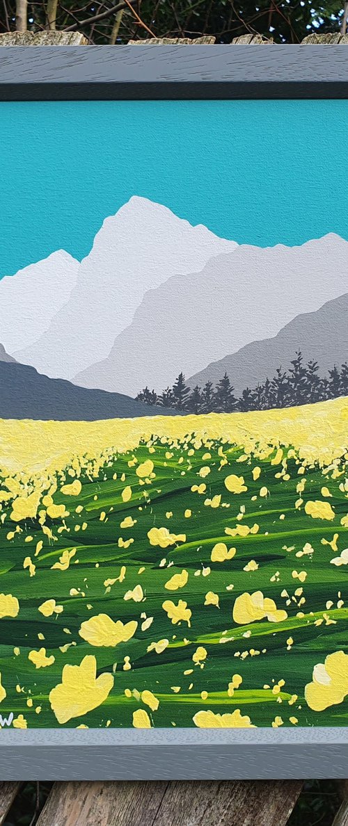 Austrian Meadow, The Lake District by Sam Martin