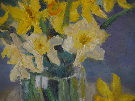 Daffodils
